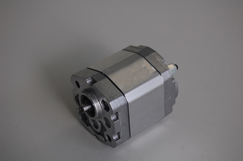 Bombas de engrenagem hidráulicas industriais BHP2B0-D-12 de Marzocchi para 500 - 3000 r/min